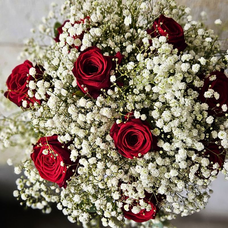 XLence® Paul Fleischli , Blumen Krämer Zürich
